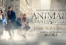 ‘Animais Fantásticos e Onde Habitam’ ganha novo vídeo legendado