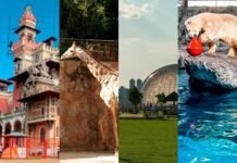 Dia das Crianças: 6 lugares em São Paulo para curtir o feriado com os pequenos