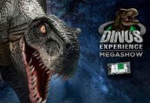 ‘Dinos Experience’: após grande sucesso, espetáculo prorroga temporada no Rio de Janeiro Dinos Experience