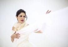 ‘O Lago dos Cisnes’ ganha montagem infantil na Zona Sul do Rio de Janeiro O Lago dos Cisnes (Foto: Divulgação/Janderson Pires)