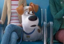 ‘Pets – A Vida Secreta dos Bichos 2’ ganha novo trailer dublado "Pets - A Vida Secreta dos Bichos" ganha novo trailer dublado