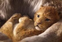 Disney divulga o primeiro trailer do live-action ‘O Rei Leão’