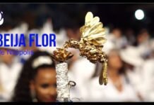 Carnaval 2019: Samba de enredo da Beija-Flor