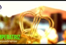 Carnaval 2019: Samba de enredo da Imperatriz Leopoldinense