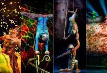 Turnê brasileira de ‘OVO’, do Cirque du Soleil 2019, contará com wine bar exclusivo Grand Cru OVO (Fotos: Divulgação/Cirque du Soleil)