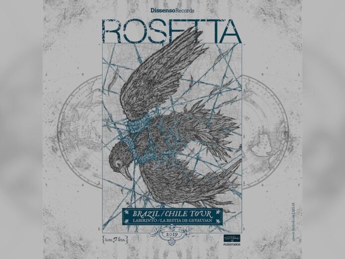 Rosetta (Divulgação)