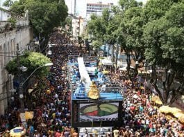 Carnaval 2019: Pipoca do Olodum em Salvador terá perfume das rosas (Foto: Magali Moraes)