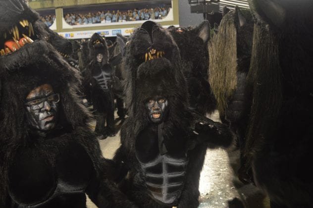 Carnaval 2019: Viradouro (Foto: Daniel Collyer/Almanaque da Cultura)