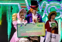 Vencedores do World Cosplay Summit ganharão vagem para competir no Japão (Foto: Divulgação)