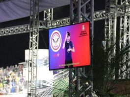 Acessibilidade no Carnaval de São Paulo: Audiodescrição e Libras garantem inclusão (Foto: Fábio Nunes)