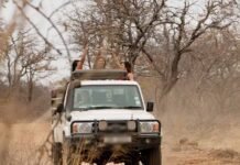 ‘Largados e Pelados Brasil – A Tribo’ estreia na HBO Max 'Largados e Pelados Brasil - A Tribo' ganha dia fixo na HBO Max (Foto: Divulgação)