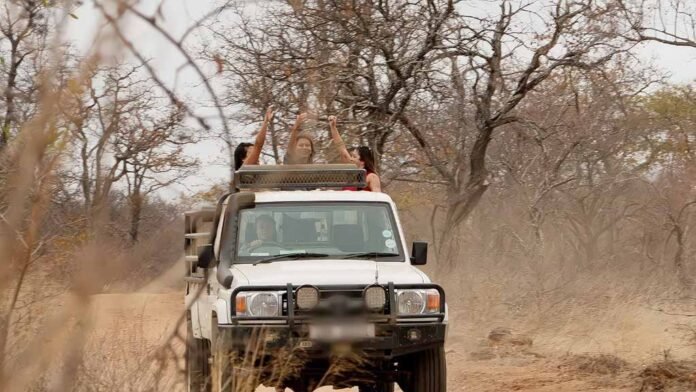 'Largados e Pelados Brasil - A Tribo' ganha dia fixo na HBO Max (Foto: Divulgação)