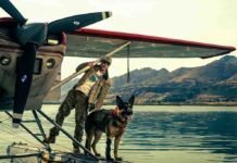 Brad Pitt apresenta cachorro Uber em bastidor de ‘Coração Selvagem’ Brad Pitt interpreta o agente das forças especiais James Belmont em 'Coração Selvagem' (Foto: Divulgação/Paramount Pictures)