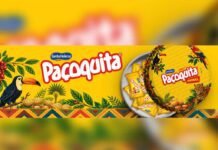 Paçoquita ganha lata colecionável em edição limitada; veja o preço Paçoquita lança lata colecionável em edição limitada com preço sugerido de R$ 39 (Foto: Divulgação)